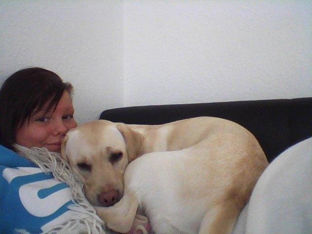 Labrador retriever (Fomel 1) Trine - Hun elsker at putte :) og gerne så tæt ind til en som hun kan <3 billede 18