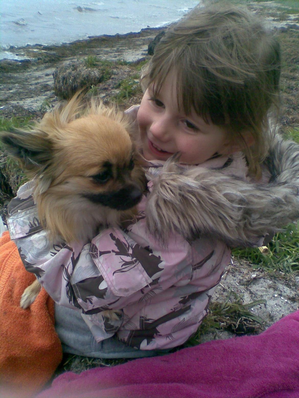 Blanding af racer Lilo billede 5