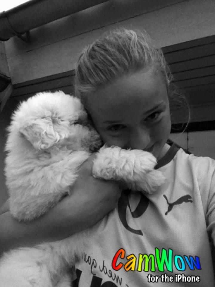 Coton de tulear Cuba:-* Min dreng<3 billede 2