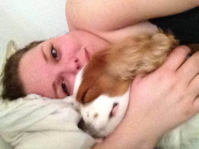 Cavalier king charles spaniel Cocio 2006-2016 - Morgenputter med mor billede 3