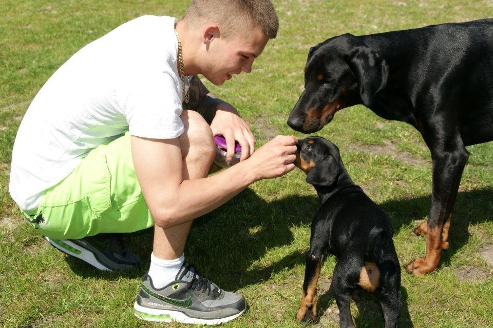 Dobermann Tyson - Mig, Tyson og lille Kess  billede 10