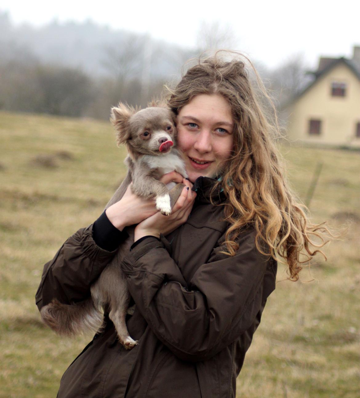 Chihuahua Laika "Min Egen Hundebasse" billede 7