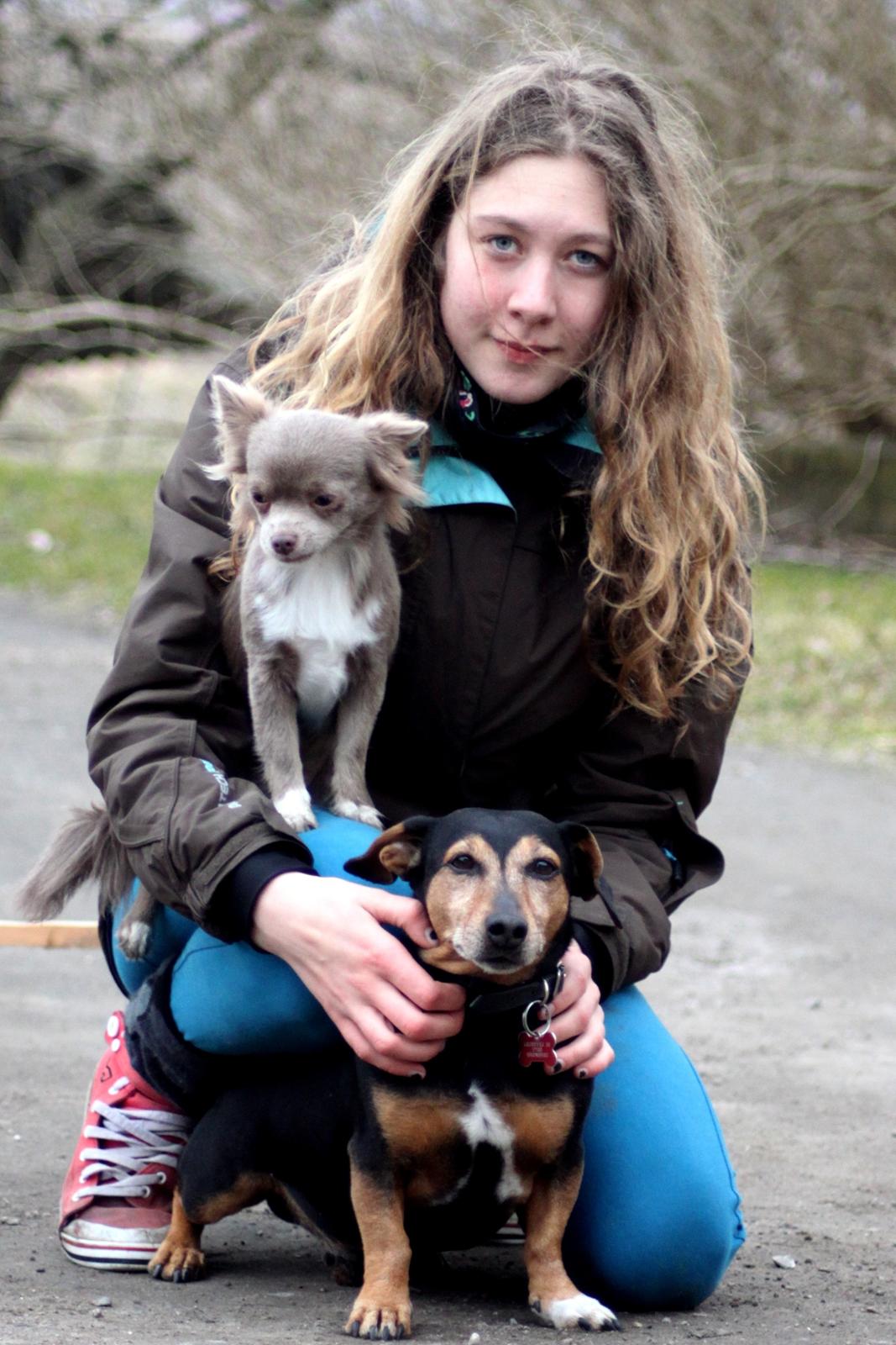 Chihuahua Laika "Min Egen Hundebasse" billede 16