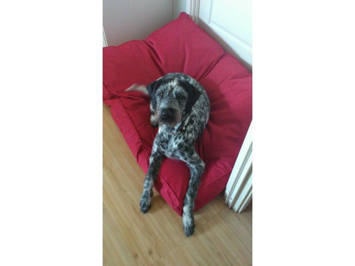 {{currentPhoto.altText}} billede {{currentPhoto.number}}