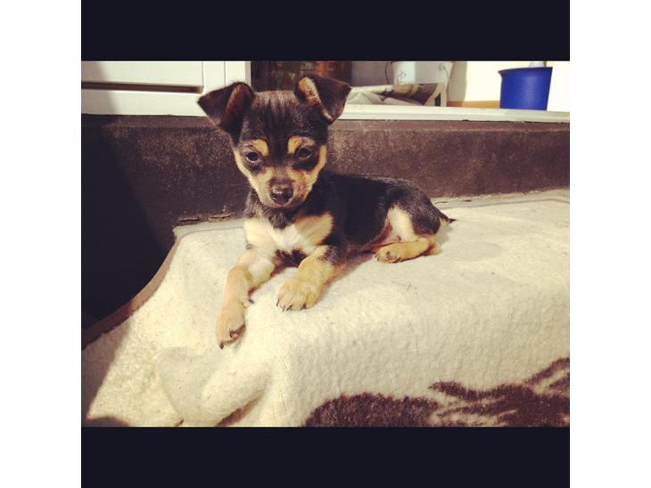 {{currentPhoto.altText}} billede {{currentPhoto.number}}