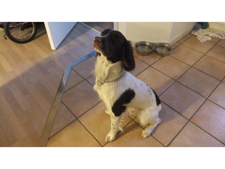 {{currentPhoto.altText}} billede {{currentPhoto.number}}