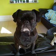 Blanding af racer Rolf