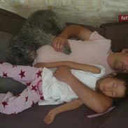 Lagotto romagnolo Etienne