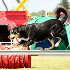 Blanding af racer Coda