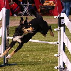 Blanding af racer Coda