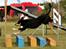 Blanding af racer Coda - Coda over flyvet.. 