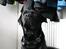 Labrador retriever Albert<3 - Min øjesten<3