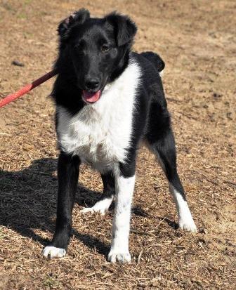 Blanding af racer Late - Late <3 billede 1