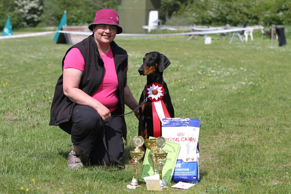 Dobermann GOF Fearless Fiona billede 14