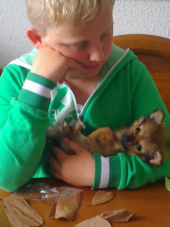 Blanding af racer Chanti - lille baby<3 billede 4