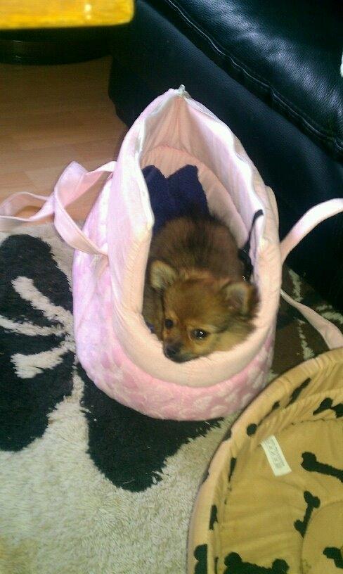 Blanding af racer Chanti - dejlig taske <3 billede 7