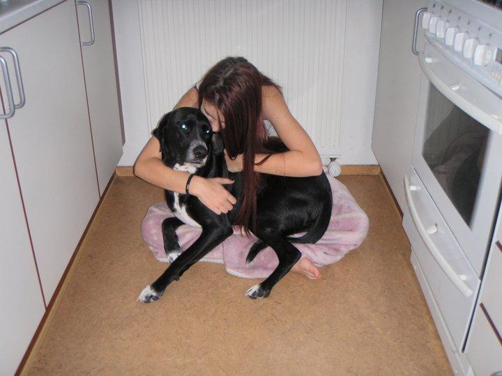 Blanding af racer Chico - Jeg elsker dig Chico<3 billede 5