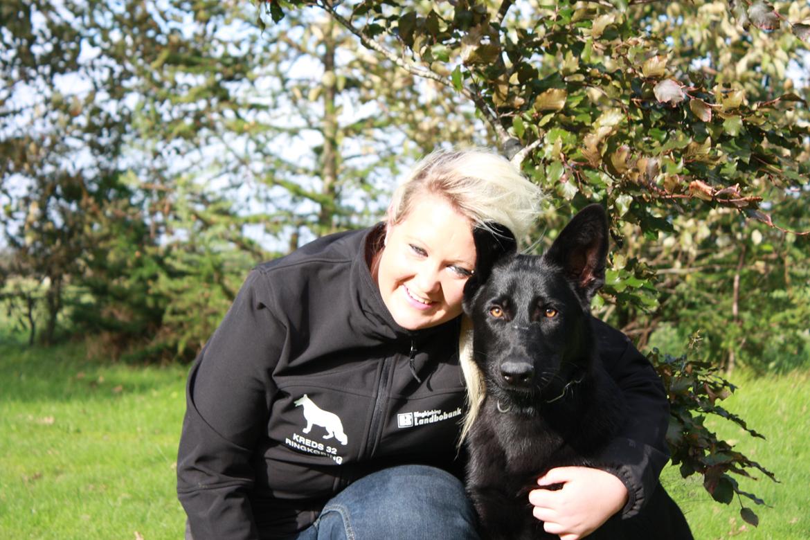 Schæferhund Cartagena Luna billede 7