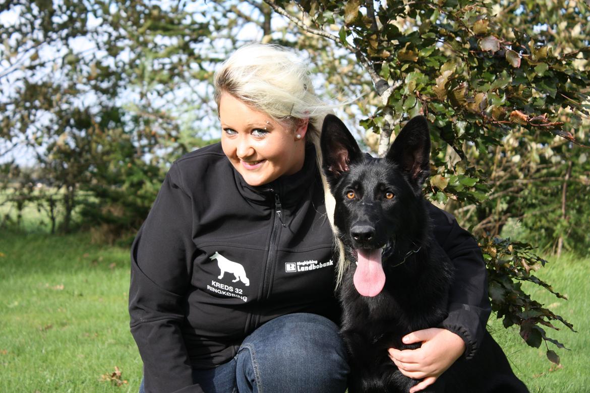 Schæferhund Cartagena Luna billede 9