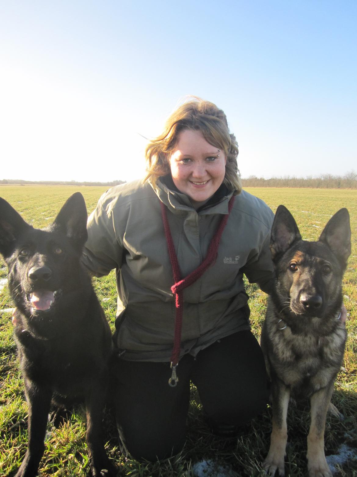 Schæferhund Cartagena Luna billede 14