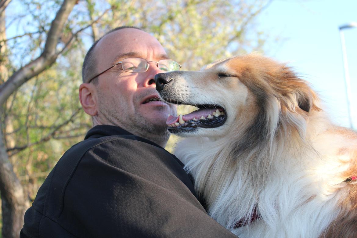 Collie langhåret Dreams of Woodland Always A Lady <3 billede 20