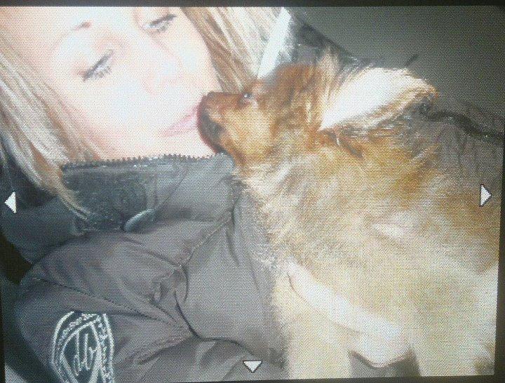 Pomeranian Smiley - Min baby og jeg :) billede 7