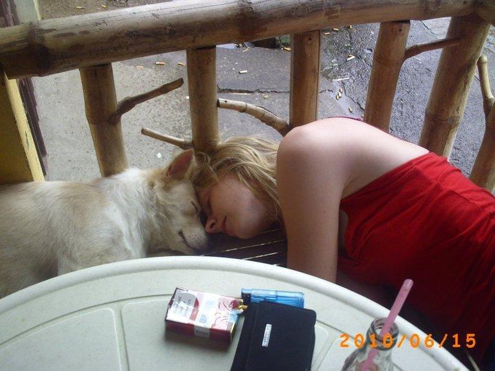 Blanding af racer Dumle billede 8