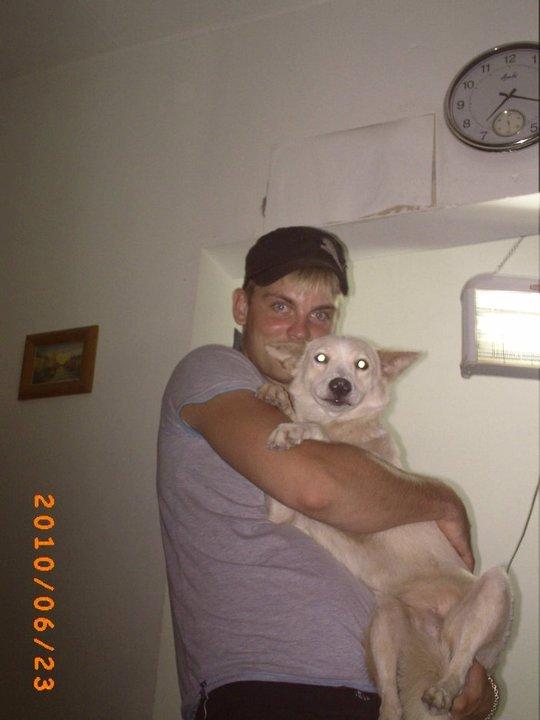 Blanding af racer Dumle billede 16