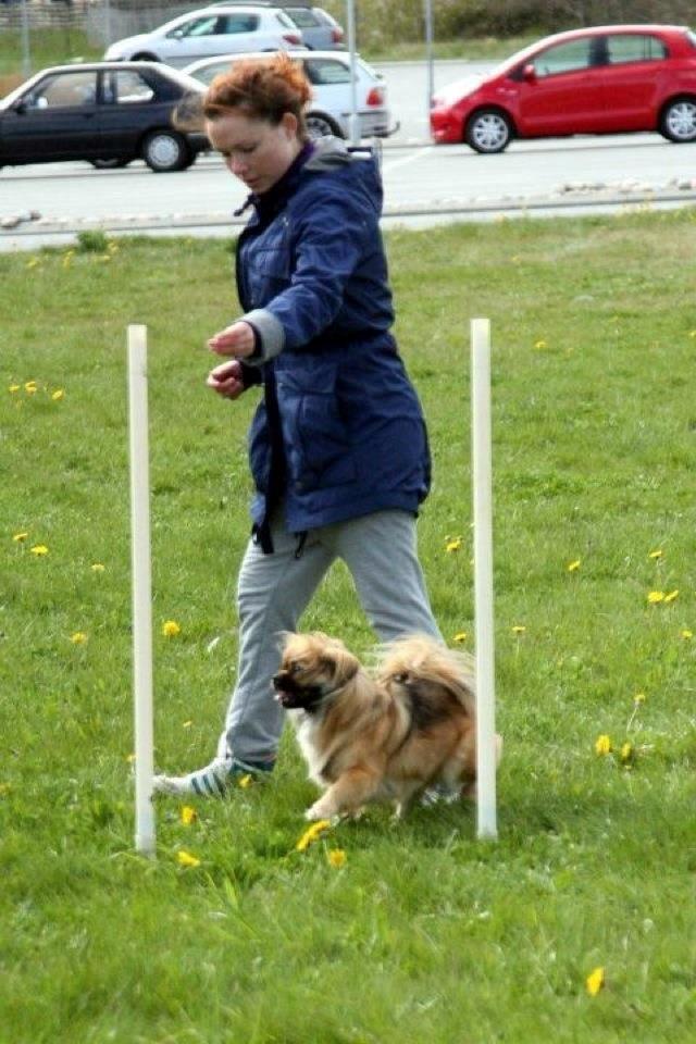 Blanding af racer Jackline R.I.P D.19/7-13 billede 13