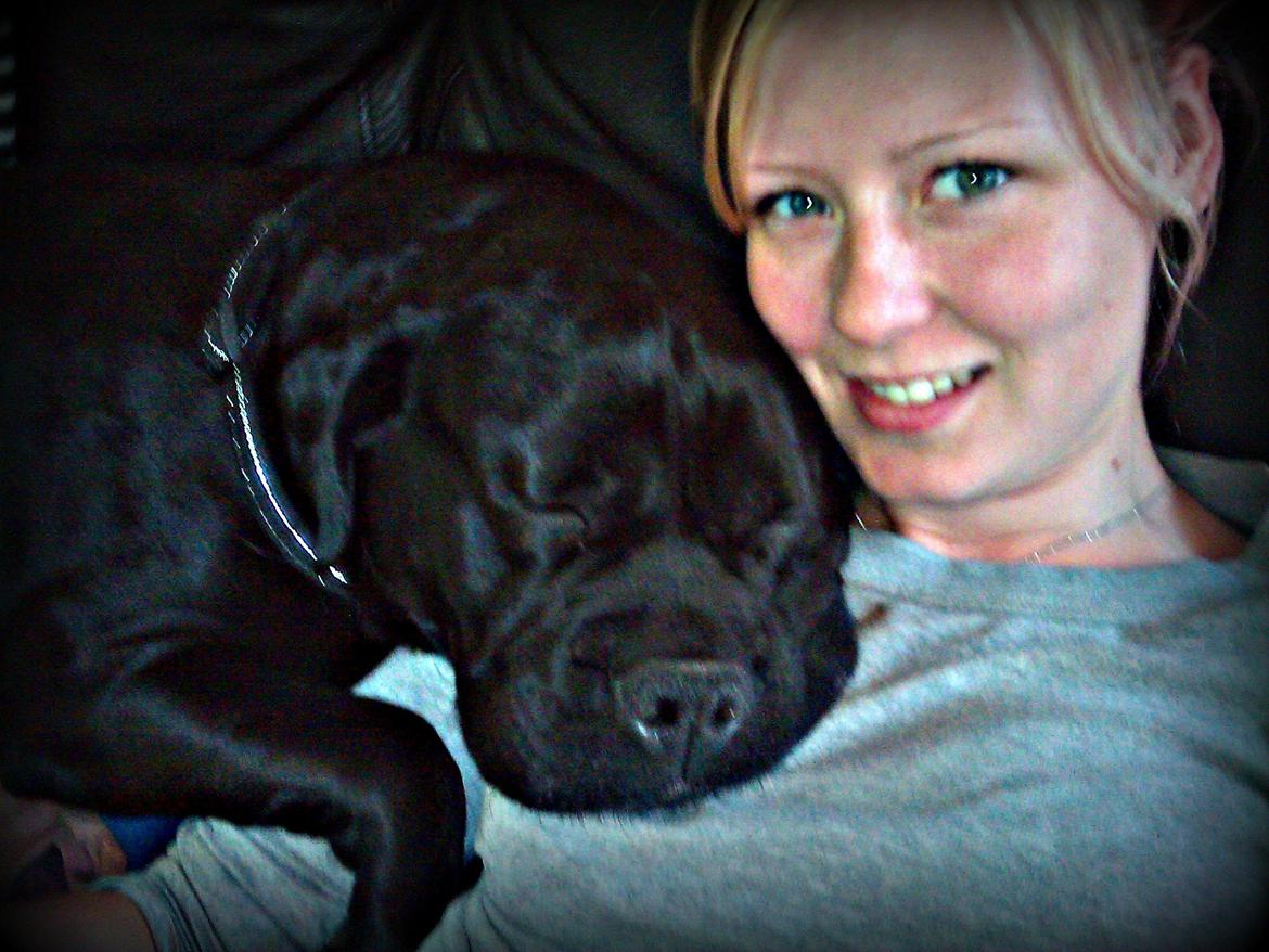 Blanding af racer Cleo billede 14