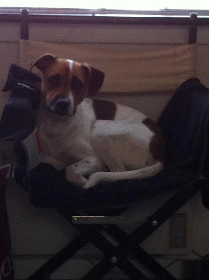 Blanding af racer Sofus billede 14