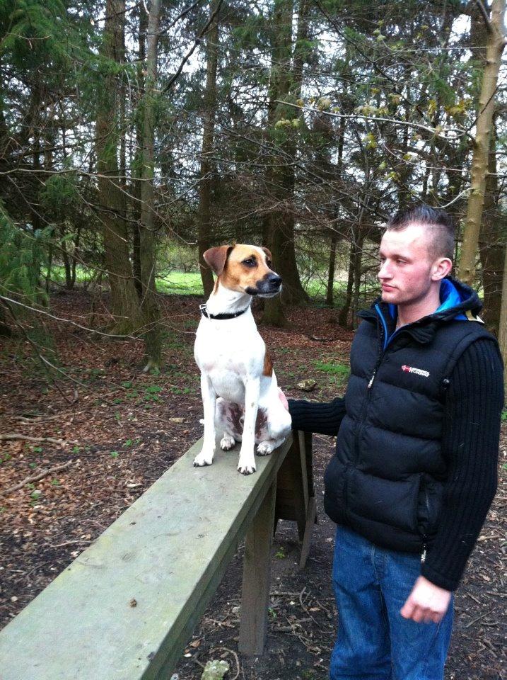 Blanding af racer Sofus billede 17