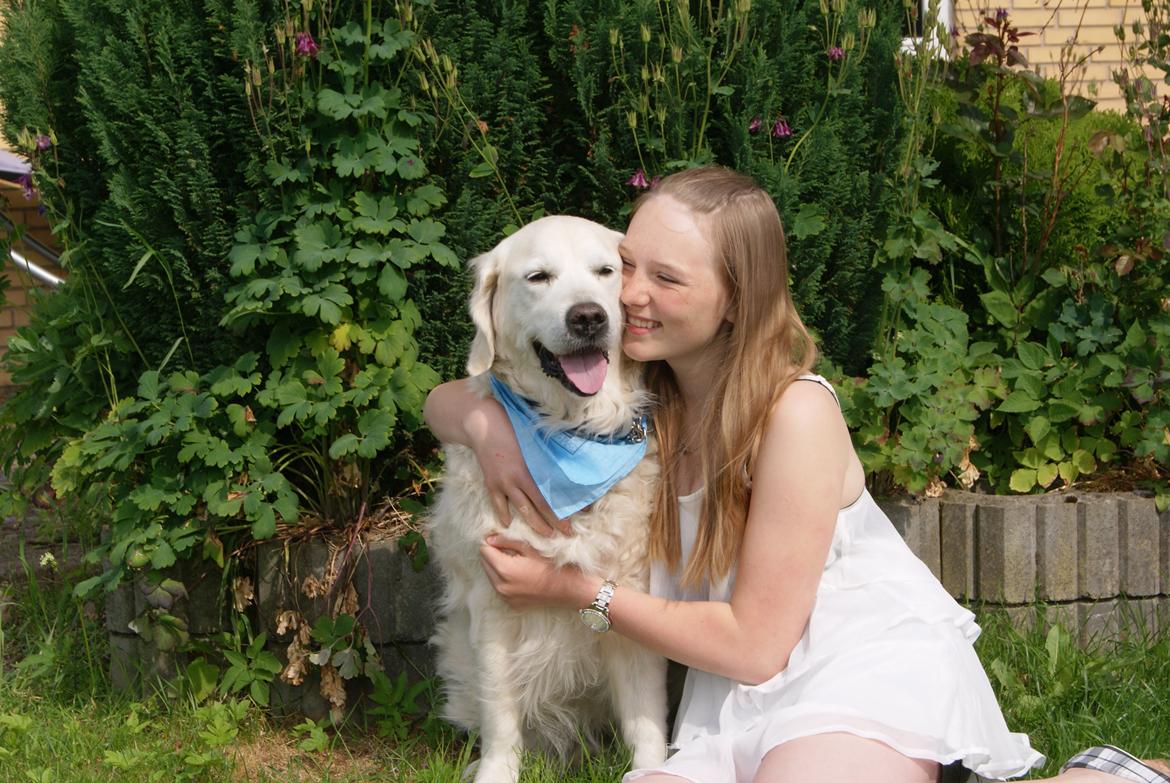 Golden retriever Balou - Balou & Jeg, en smuk sommerdag !
I Love You <3 billede 5