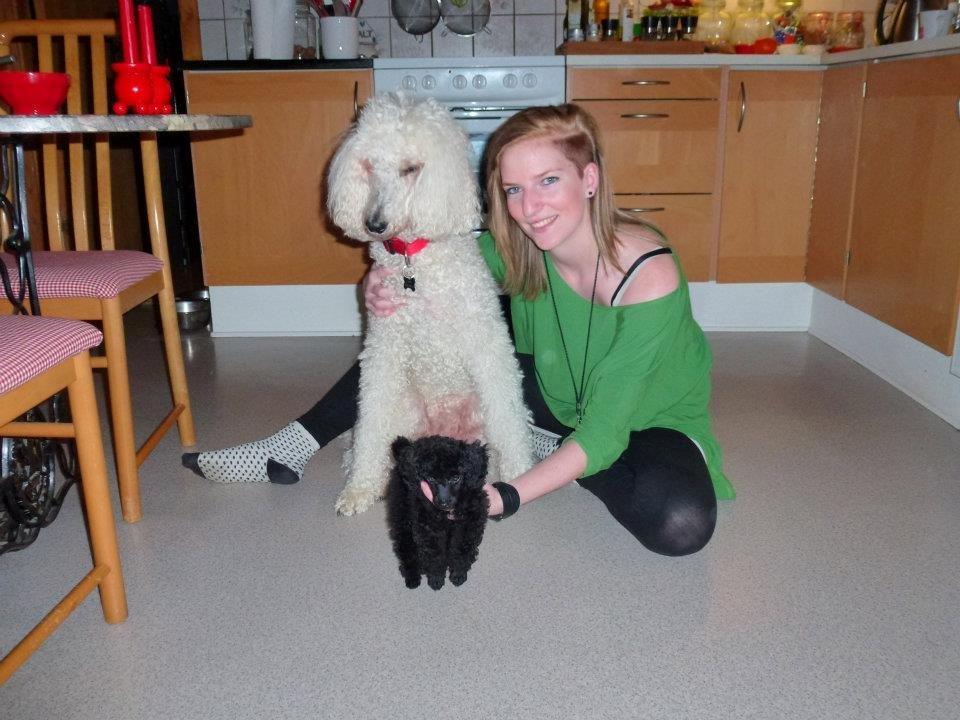 Storpuddel Sonni billede 3