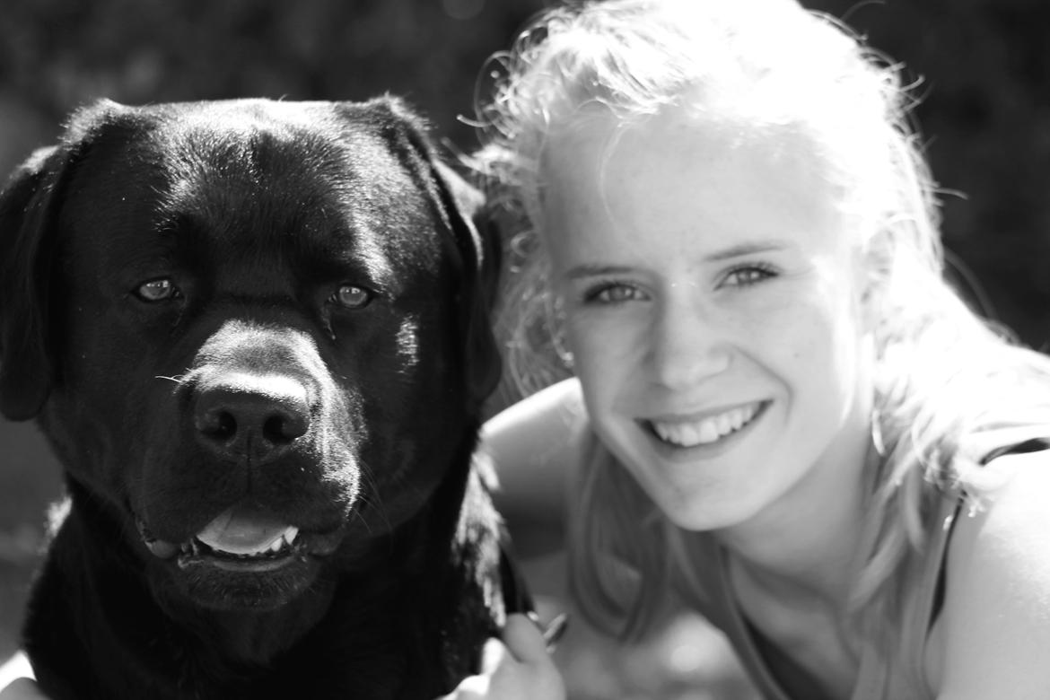 Labrador retriever Albert<3 - It doesn't matter where or when or what we say or what we do, as long as it's just me and you.<3<3
 billede 3