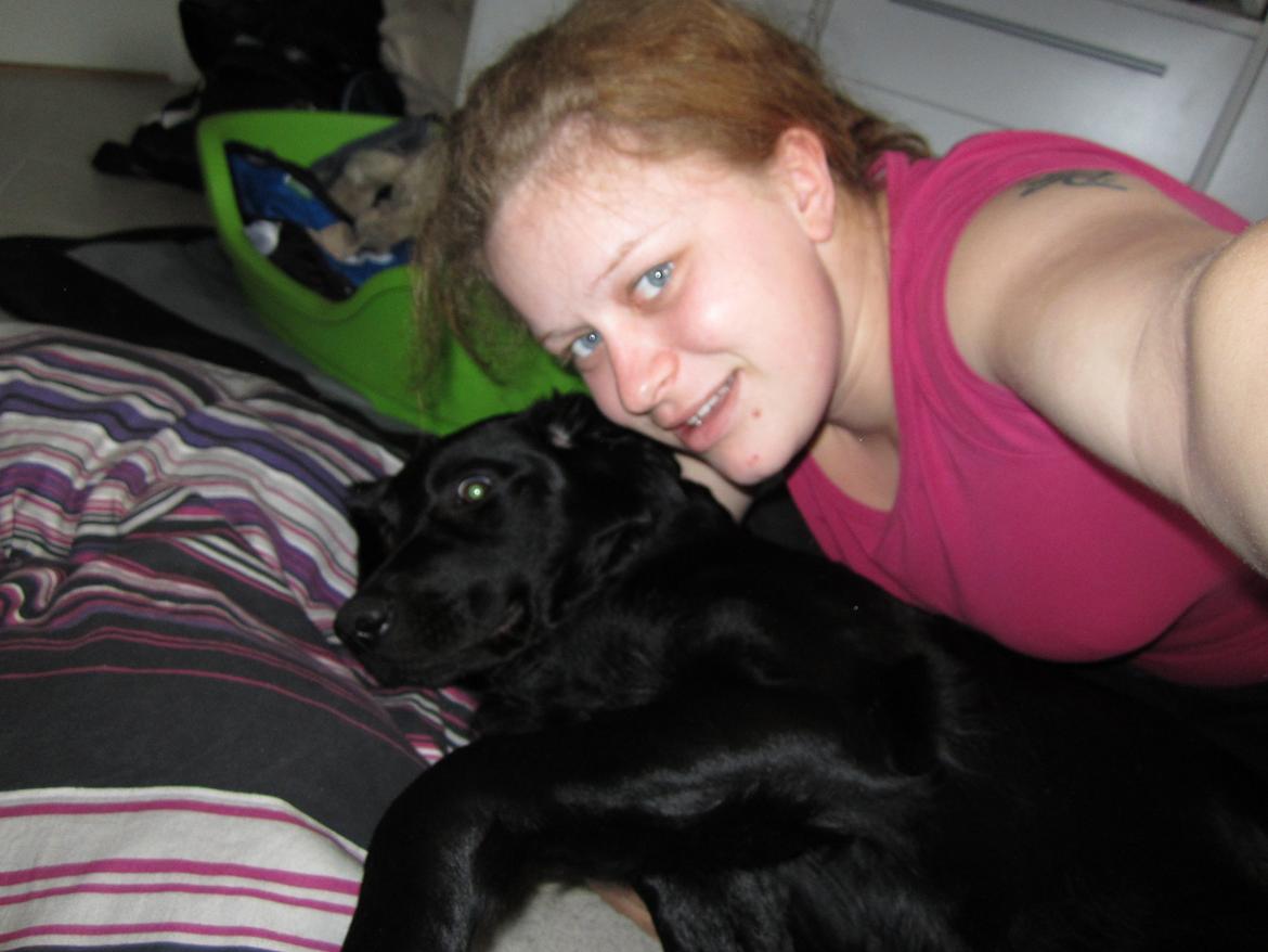 Blanding af racer sille billede 4