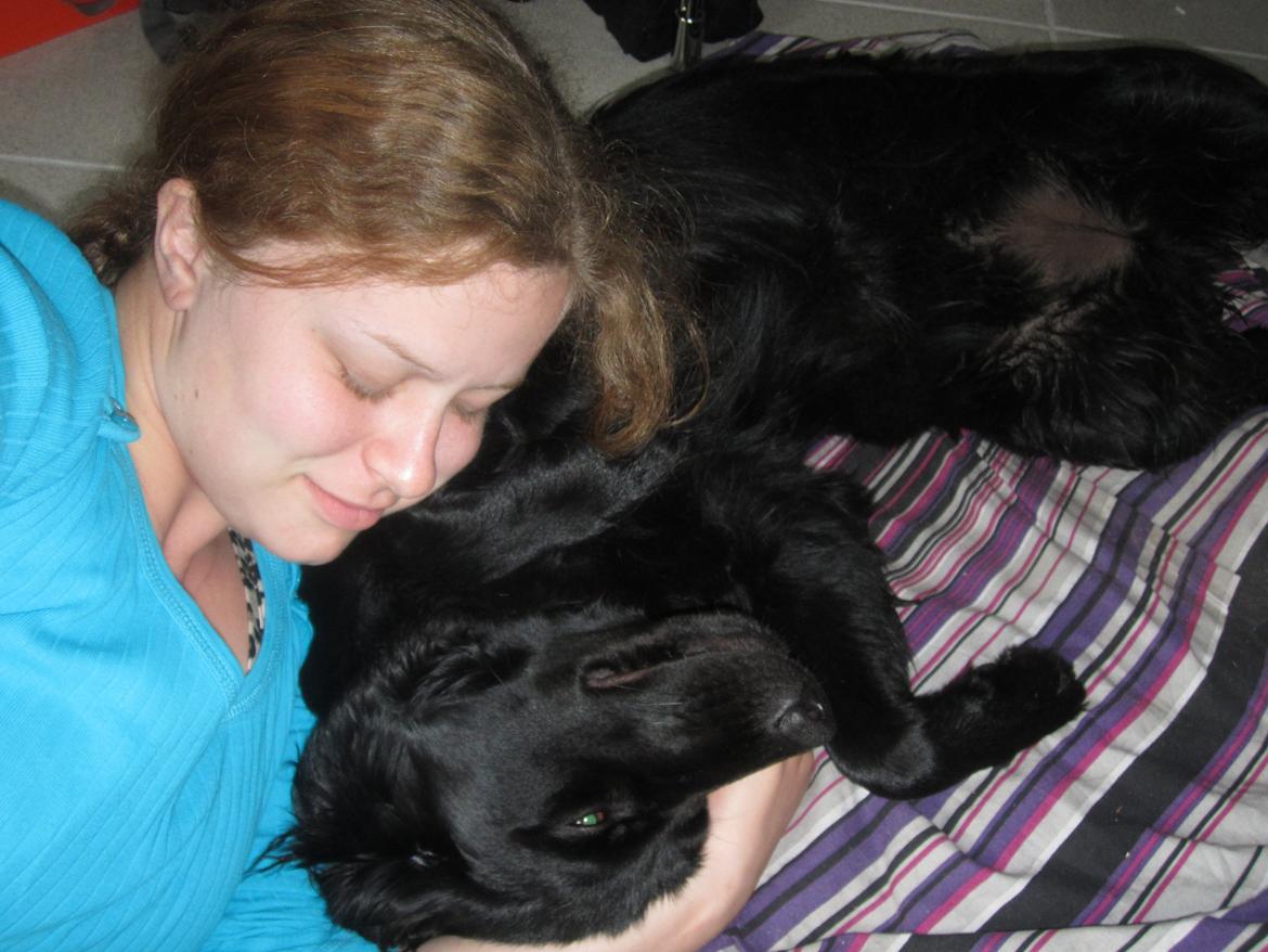 Blanding af racer sille billede 15