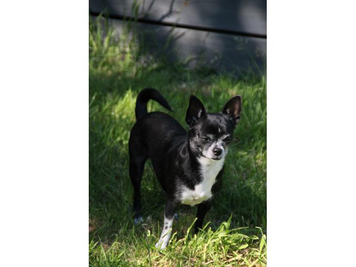 {{currentPhoto.altText}} billede {{currentPhoto.number}}