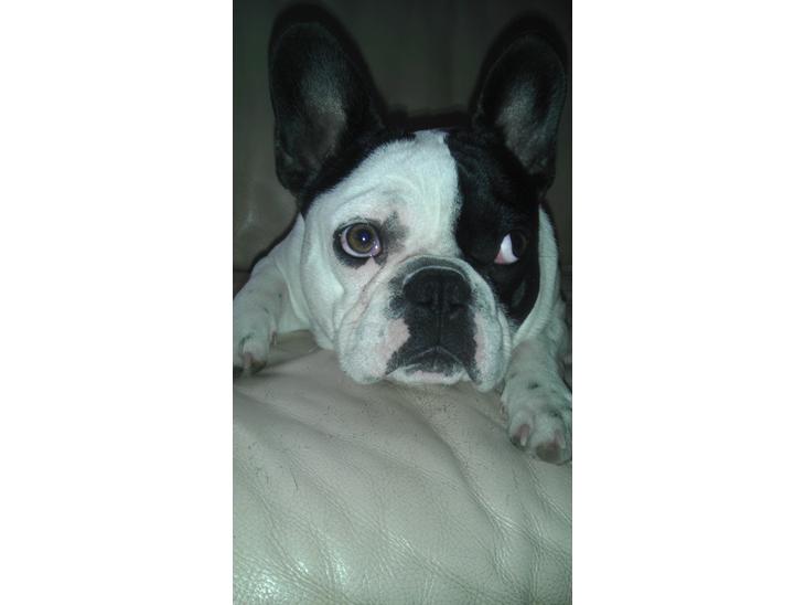 {{currentPhoto.altText}} billede {{currentPhoto.number}}