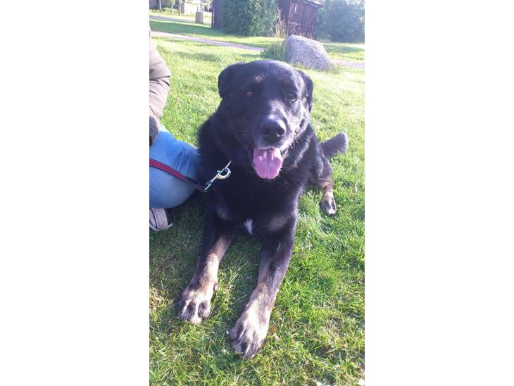 {{currentPhoto.altText}} billede {{currentPhoto.number}}