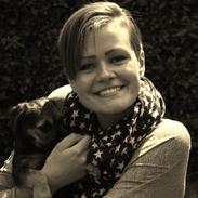 Border terrier Milla