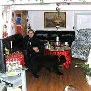 Newfoundlænder Trunte