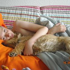 Skotsk terrier Ledagergård´s Gwen (Nancy)