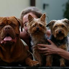 Dogue de bordeaux Esther