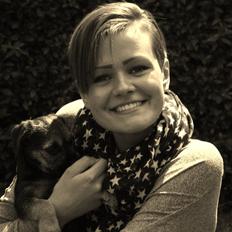 Border terrier Milla