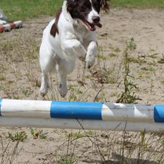 Blanding af racer Fiona