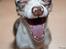 Chihuahua Mocha