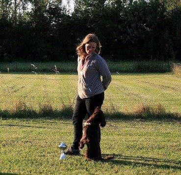 Field Trial Cockerspaniel Choko - Choko har været til sin første rigtige prøve 120 point ud af 125. 1 plads og bedste øvede beg og vandrer pokal. Dygtig vovse :o) billede 16