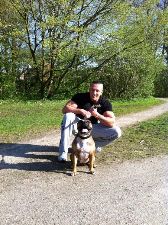 Staffordshire bull terrier RIP Scarlett billede 1