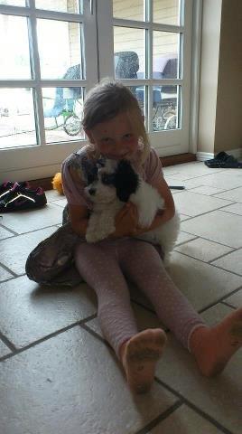 Blanding af racer Lui billede 13